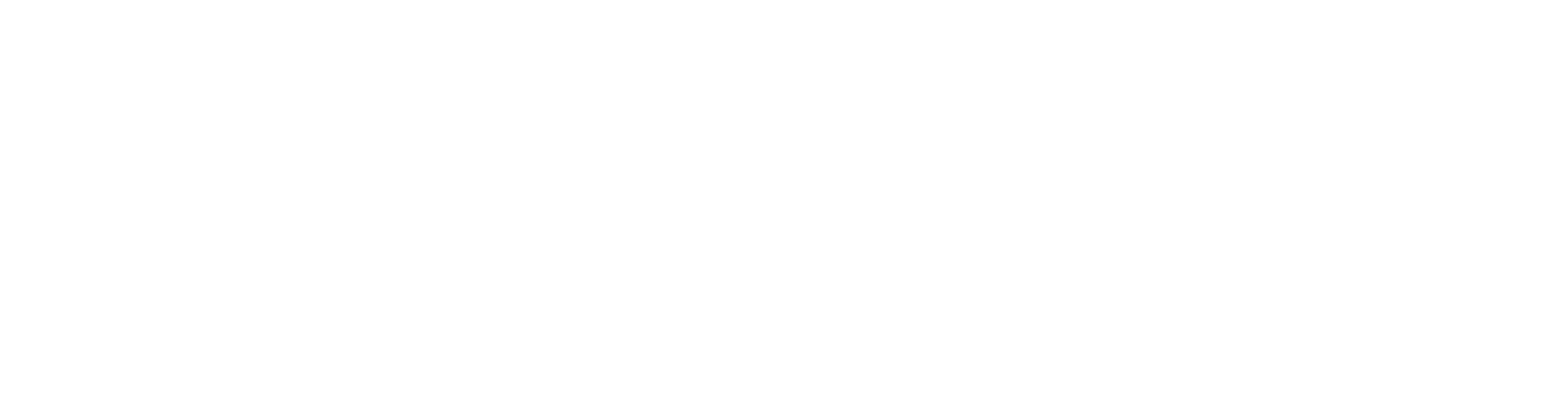 Profoto logo wit